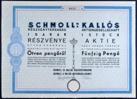 Budapest 1928. "Schmoll és Kallós Részvénytársaság" részvénye 50P-ről, szárazpecséttel és szelvényekkel T:I-