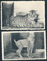 2 db régi belga leporello + 1 képeslap sorozat / 2 Belgian leporello postcards + 1 postcard booklet ...