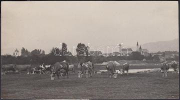 cca 1920 Kerny István (1879-1963): Szent-Endre látképe, pecséttel jelzett fotóművészeti alkotás, 8x15 cm