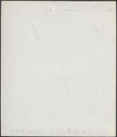 cca 1933 Kerny István (1879-1963): A tószegi ásatás leletei, pecséttel jelzett vintage fotó, 17,5x15...