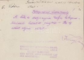 cca 1930 Kerny István (1879-1963): Fotográfiai érdekesség, a kék és ibolya sugár teljes kikapcsolásá...