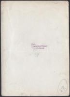 cca 1948-1955 Tiszavölgyi József: felvonulások, közös ünneplések, transzparensek, vezérek, jelmondat...