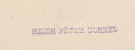 cca 1935 Reich Péter Cornel: Dunai látkép, lágyító előtéttel készült, pecséttel jelzett vintage fotó...