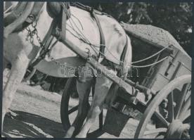 cca 1935 Reich Péter Cornel: Sódert szállító kordé, pecséttel jelzett, vintage fotó, 18x13 cm