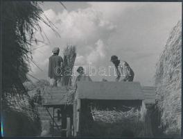 1955 Osoha László: Cséplés Hollókőn, pecséttel jelzett vintage fotó, 18x24 cm