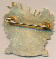 DN "MAVAD" aranyozott fém jelvény T:2