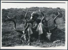 1934 Széchenyi Zsigmond afrikai vadászatán, két nagykudu trófeával, későbbi másolat a korabeli hasonló méretű üveglemez negatívról, feliratozva, 12x17 cm