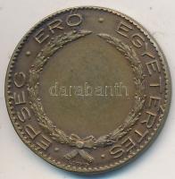 Sóváry János (1895-1966) / Ludvig József DN "Nemzeti Torna Egylet - 1863 - Matolay / Épség - Er...