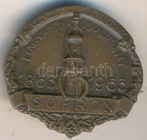 1963. "Százéves az Első Országos Dalosverseny - Sopron" Br jelvény T:2