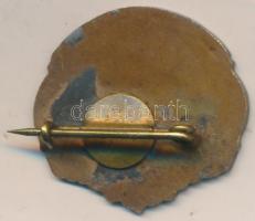 1963. "Százéves az Első Országos Dalosverseny - Sopron" Br jelvény T:2