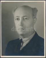 1946 Ralph Fabri (1894-1975) magyar származású, New Yorkban élő festőművész vintage portréja, George Turi (New York) felvétele, feliratozva, 25x20 cm