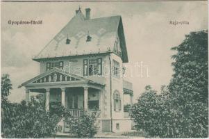 Gyopárosfürdő, Rajz villa (EK)