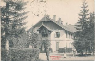 Tátra, Barlangliget, Concordia villa, Fejes Bertalan borbély és fodrász üzlete, Feitzinger Ede 108. / villa, hairdresser