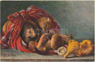 2 db RÉGI motívumlap; gomba / 2 old motive cards; mushroom