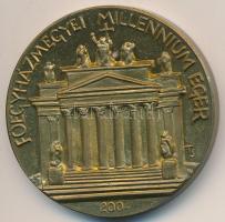 Tóth Sándor (1933-) 2004. "Dr Seregélyi István érsek / Főegyházmegyei Millennium Eger" T:1...