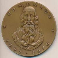 DN "Comenius 1592-1670 - Sárospatak" Br emlékérem (70mm) T:2