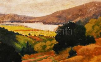 Ónodi jelzéssel: Dunakanyar. Olaj, karton, jelzett, keretben, 32×42 cm