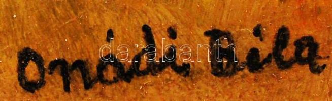 Ónodi jelzéssel: Dunakanyar. Olaj, karton, jelzett, keretben, 32×42 cm