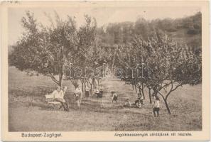 Budapest XII. Zugliget, Angolkisasszonyok zárdájának rétje (EK)