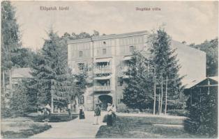 Előpatakfürdő, Bogdán villa, kiadja Goldstein Manó / villa (EK)