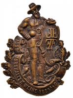 Ausztria 1898. Tornaterem felszentelés Ybbs an der Donau fém tornász jelvény (56x42,5mm) T:2 Austria 1898. Turnhallenweihe Ybbs an der Donau metal gymnast badge (56x42,5mm) C:XF 