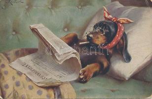 Dachshund with cigarette and newspaper, T.S.N. Serie. 649. No. 6. s: C. Reichert (small tear)