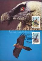 WWF Bearded vulture set 4 CM, WWF Szakállas keselyű sor 4 CM