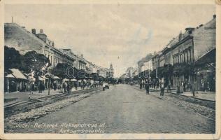 Nagybecskerek, Aleksandrova utca / street (EK)