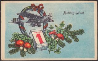 1951 New Year, aeroplane, calendar, mushrooms (EK)