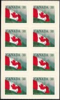 Flags 8 stamps in stamp-booklet piece, Zászló 8 bélyeget tartalmazó bélyegfüzet darab