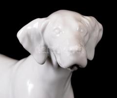 Herendi Maugsch vizsla, fehér mázas, jelzett, hibátlan, m:18, h:23 cm / Herend Maugsch dog, perfect ...
