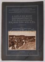 Osztróvszkyné Dr. E Németh Ágnes: A szőlő és must értékesítése és feldolgozása erjesztés nélkül. Egészségügyi Propagandaközpont. Bp., 1930, Királyi Magyar Egyetemi Nyomda. Kiadói papírkötés, kopottas állapotban.