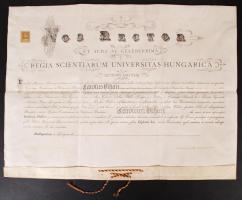 1908 Bp., Magyar Királyi Tudományos Egyetem által kiállított latin nyelvű államtudományi diploma, függőpecsétje hiányzik