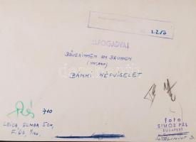 Simor Pál: Népviseletben (Bäuerinnen am Brunnen), pecséttel jelzett, 18x13 cm