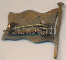 DN "Zrínyi Ilona Gimnázium" zománcozott, zászló alakú jelvény (18x19mm) T:2