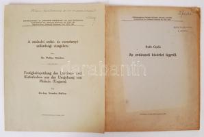 2 db erdész témájú kiadvány-Roth Gyula: Az erdészeti kísérlet ügyről; Dr. Pallay Nándor: A miskolci erdei- és veresfenyő szilárdsági vizsgálata. Kiadói papírkötés, kopottas állapotban.