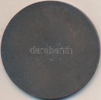 1970. "Dunaújváros" bronzozott Al plakett (60mm) T:2