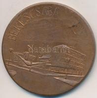 1971. "Békéscsaba / III. Országos Véradó Konferencia" Br emlékérem. Szign.: Simon S. (50,5...