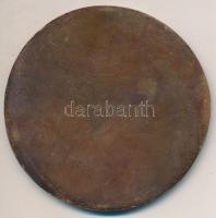 DN "Dunaferr Duna Vasmű - alapítva 1950" Br plakett (82mm) T:2