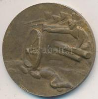 Murányi Gyula (1881-1920) 1915. "A Krasniki diadalmas csatában az oroszoktól elvett ágyúból verette az Auguszta-Alap" Br emlékérem (21mm) T:2-