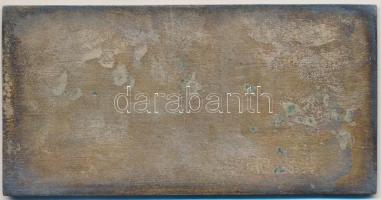 1969. "Népművelési Intézet" fém plakett dísztokban (59,5x117) T:2-