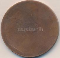 Fritz Mihály (1947-) DN "Pedagógus Szolgálati Emlékérem" Br emlékplakett tokban (42,5mm) T...