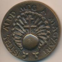 1993. "MDF (Magyar Demokrata Fórum) VI. Országos Gyűlése" Br emlékérem tokban (51mm) T:1-