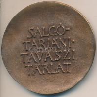 Asszonyi Tamás (1942-) "Munka Művészet / Salgótarjáni Tavaszi Tárlat" Br plakett dísztokba...