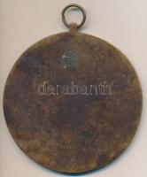 1986. "MNK Zala Kupa" sárkányrepülős Br plakett füllel és függesztőkarikával (102mm) T:2