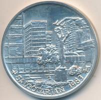 Garamkeszi János (1936-) 1983. "MÉE - 10 éves a Nógrád megyei szervezet / Salgótarján" Ag ...