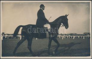 Horse racer in Novi Sad (Újvidék) photo (EK)