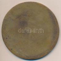 Palotás József (1947-) DN "Dunai Vasmű 25 éves Törzsgárdatag" Br plakett (90mm) T:2