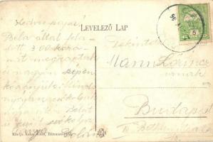 Csíz, Szanatórium; kiadja Kohn Adolf / health resort