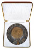 DN "Vízgépészeti Vállalat" Br plakett dísztokban (97mm) T:2